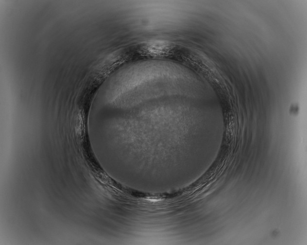 X0000098210651200805011212