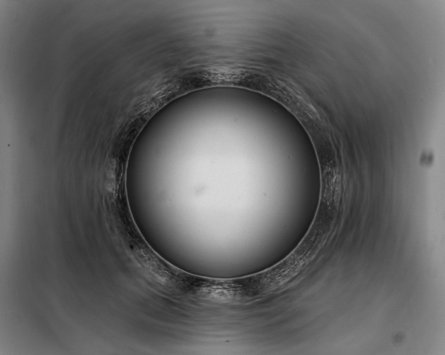 X0000098210655200805011212