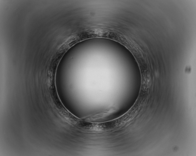 X0000098210656200805011212