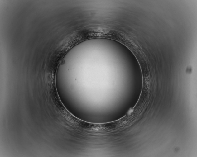 X0000098210657200805011212