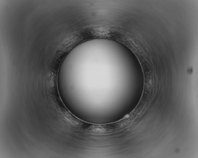 X0000098210658200805011212