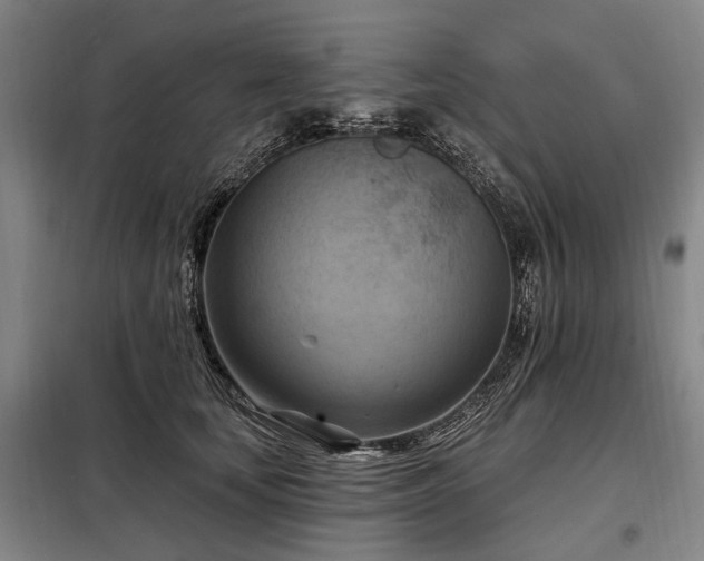 X0000098210659200805011212