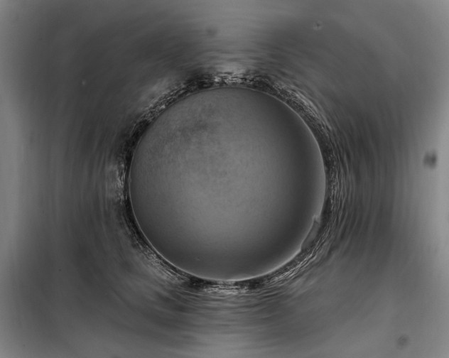 X0000098210661200805011212
