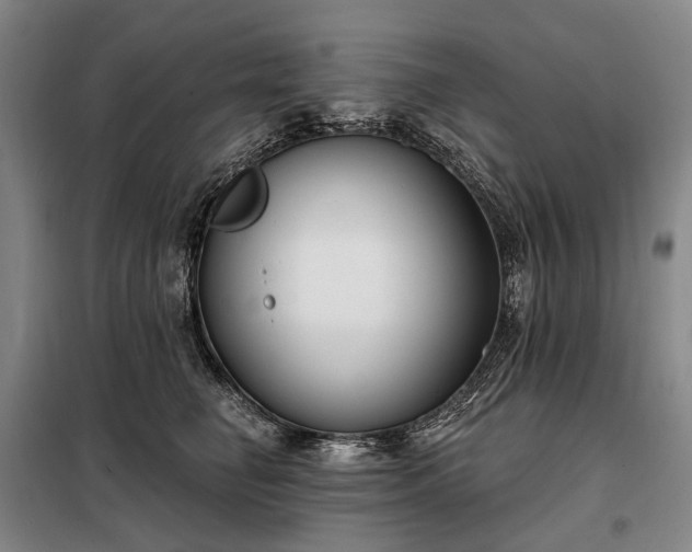 X0000098210662200805011212