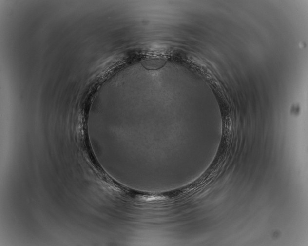 X0000098210663200805011212
