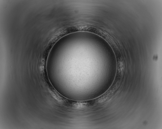X0000098210664200805011212