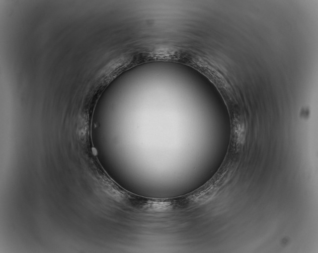 X0000098210665200805011212