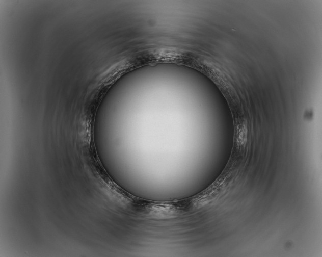 X0000098210666200805011212