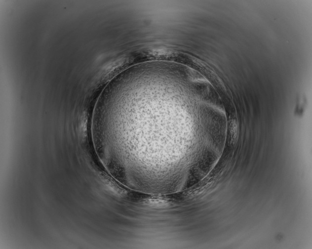 X0000098210668200805011212