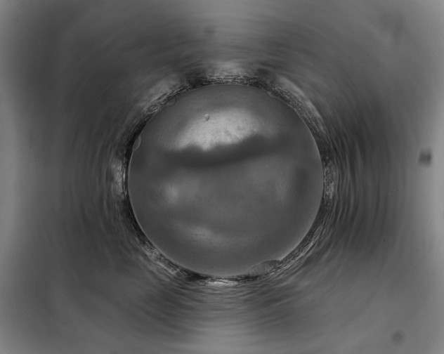 X0000098210669200805011212