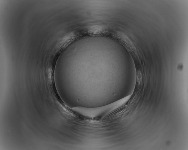 X0000098210670200805011212