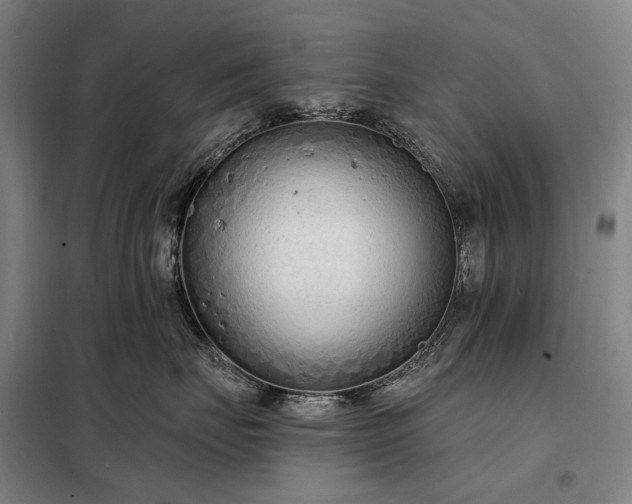 X0000098210671200805011212