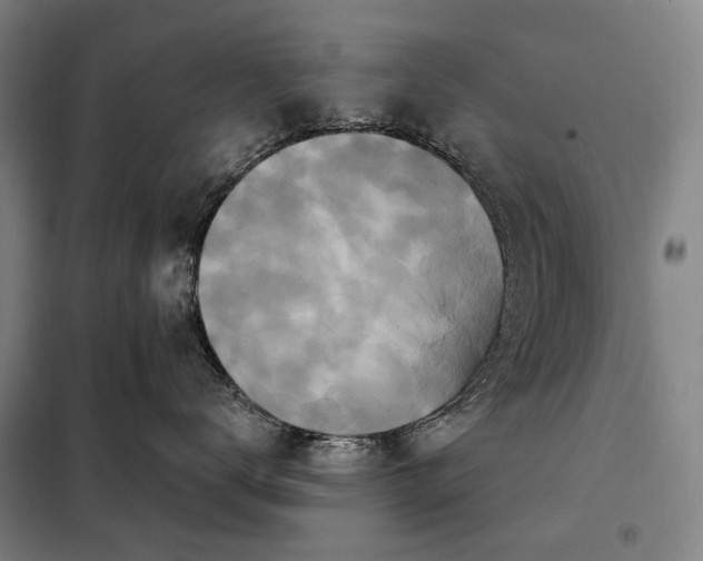 X0000098210672200805011212