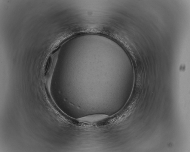 X0000098210673200805011211