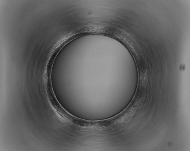 X0000098210674200805011211