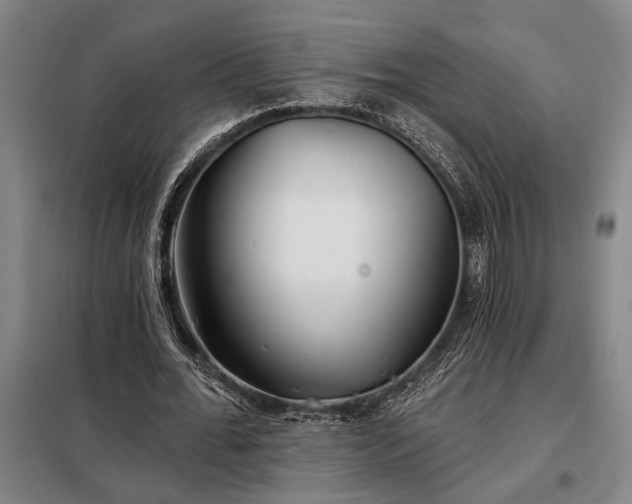 X0000098210676200805011211