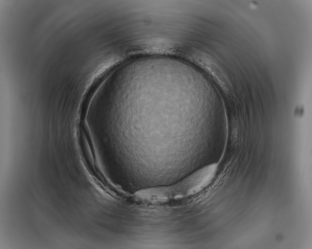 X0000098210677200805011211