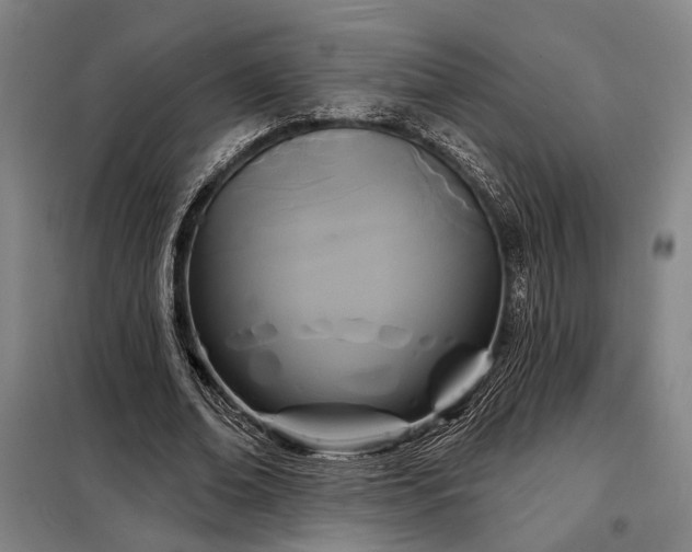 X0000098210678200805011211