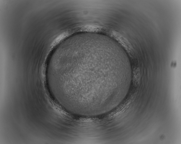X0000098210679200805011211
