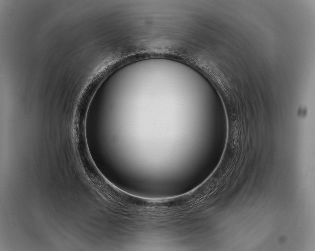 X0000098210680200805011211