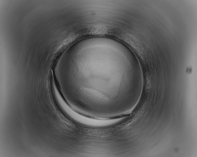 X0000098210681200805011211
