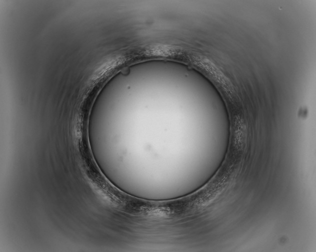 X0000098210683200805011211