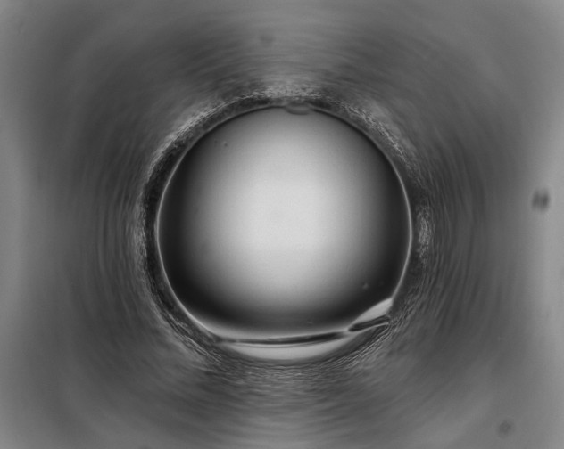 X0000098210684200805011211