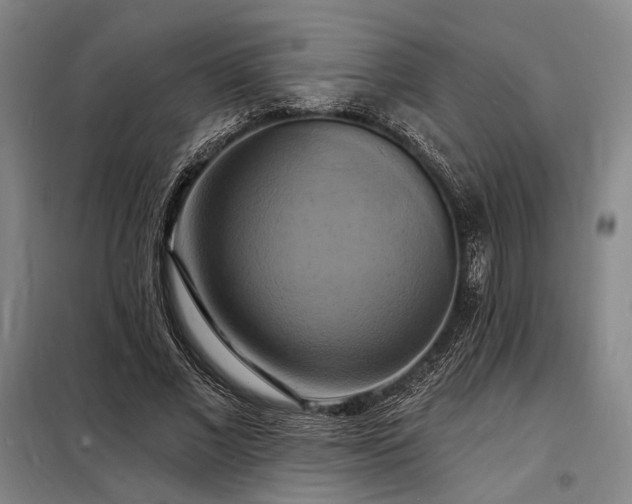 X0000098210685200805011211