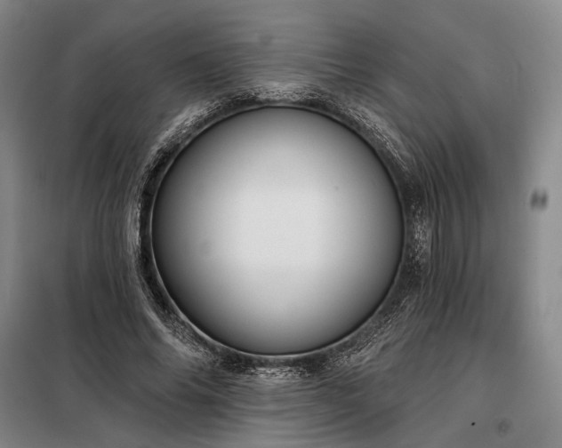 X0000098210686200805011211