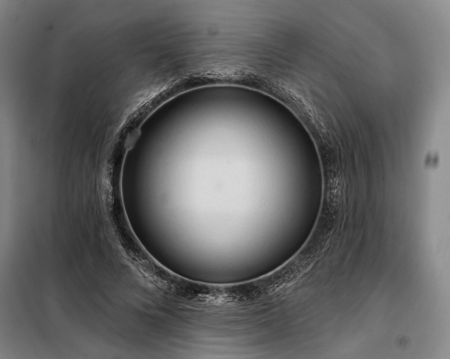 X0000098210688200805011211