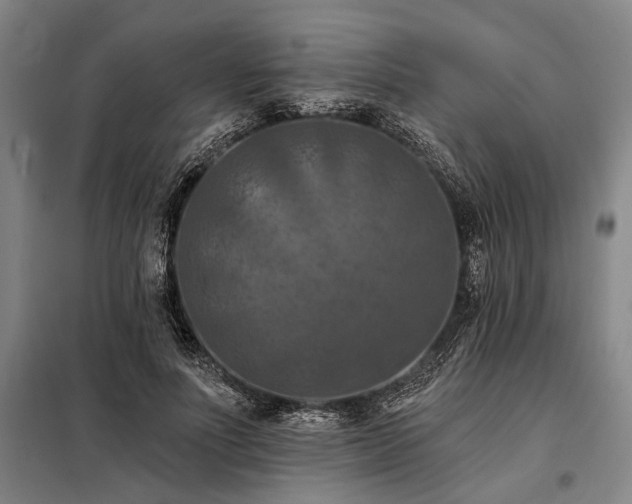 X0000098210691200805011211