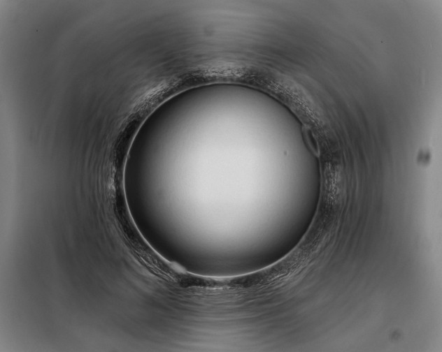 X0000098210692200805011211