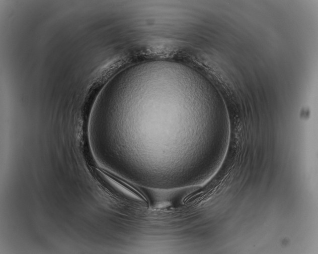 X0000098210693200805011211