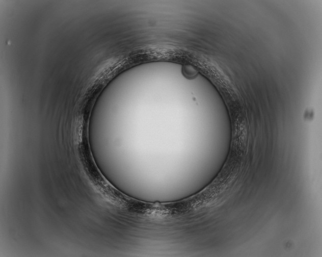X0000098210694200805011211