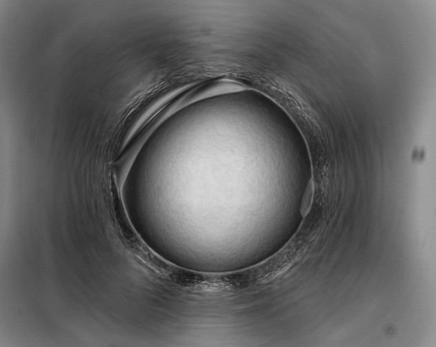 X0000098210696200805011211