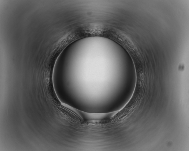 X0000098210697200805011211