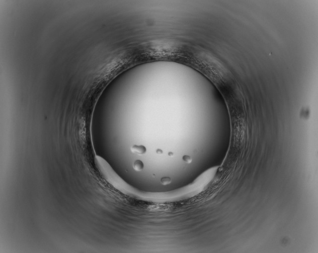 X0000098210700200805011211
