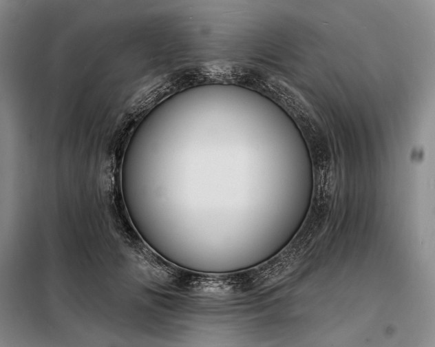 X0000098210702200805011211