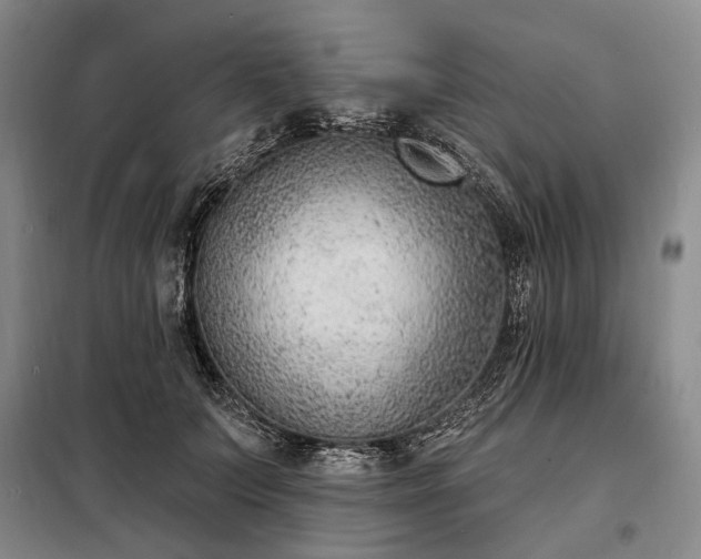 X0000098210703200805011211