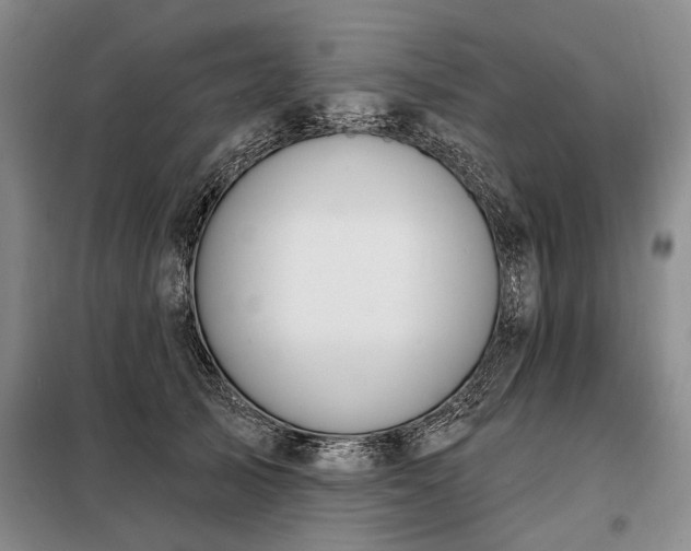 X0000098210705200805011211