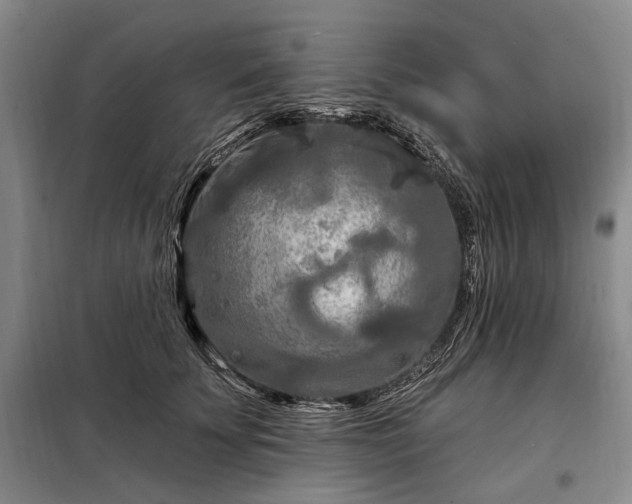 X0000098210707200805011211