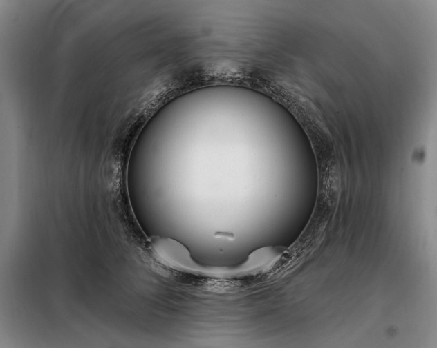 X0000098210708200805011211