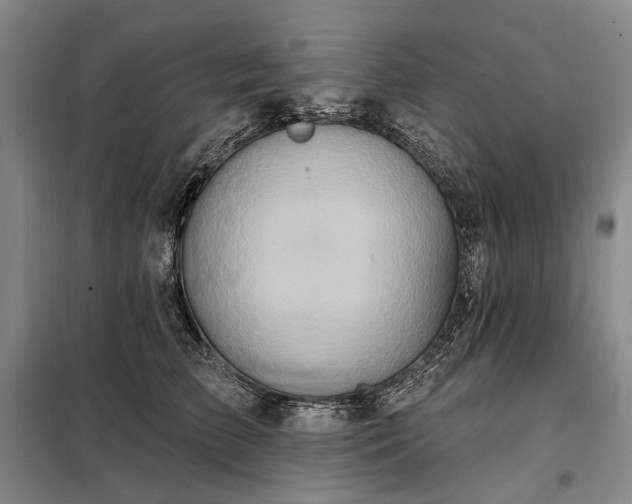 X0000098210709200805011211