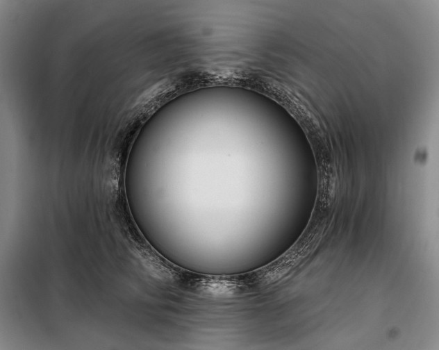 X0000098210710200805011211