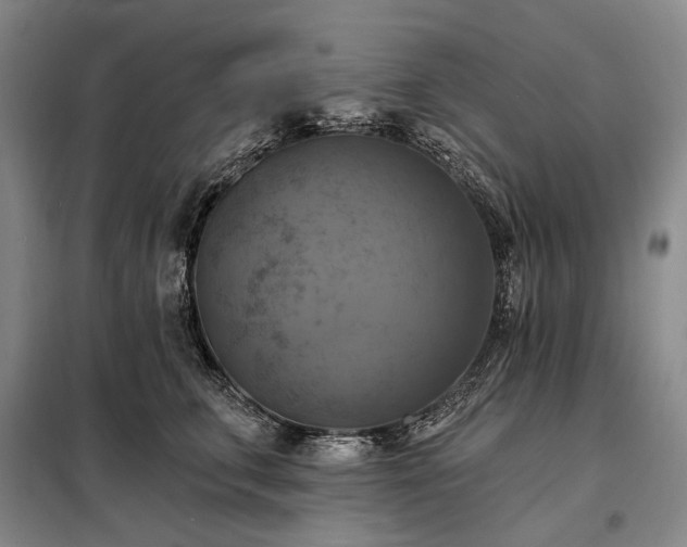 X0000098210711200805011211