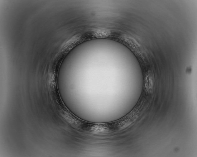 X0000098210714200805011211
