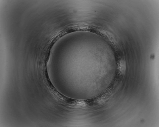 X0000098210715200805011211