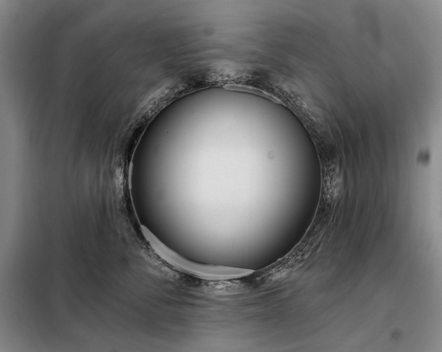 X0000098210716200805011211