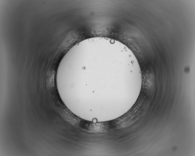 X0000098210717200805011211