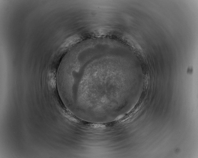X0000098210719200805011211